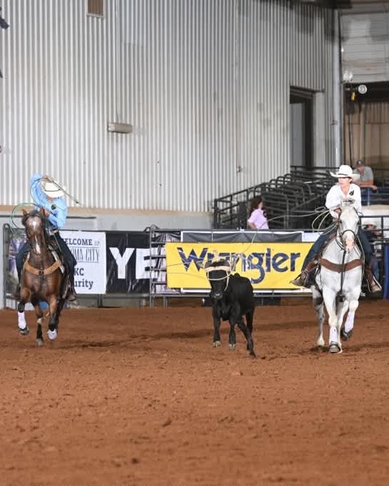 Dois laçadores a cavalo perseguindo um garrote na arena, na prova de laço em dupla